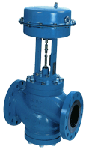 Cage Trim Control Valve