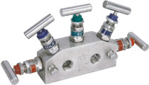 5-Valve Manifolds