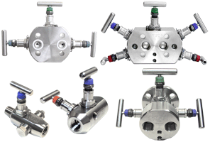 Valve Manifold